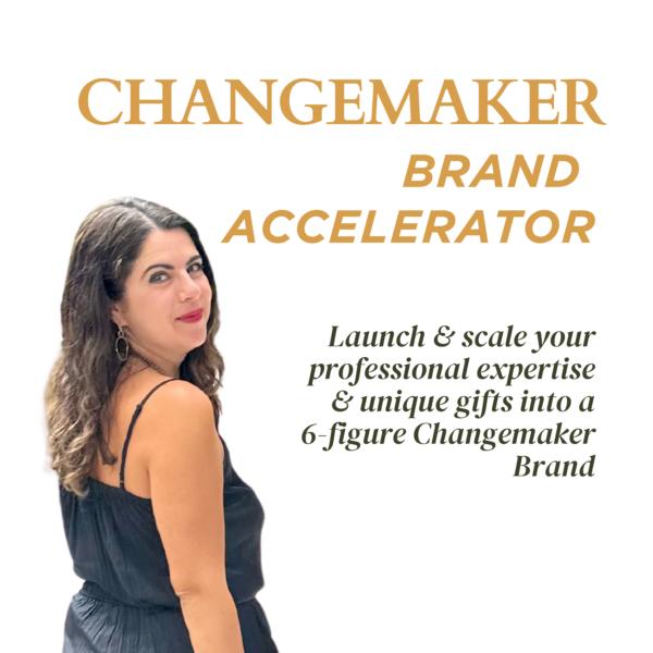 Changemaker Business Strategy Accelerator (6 Month Program)